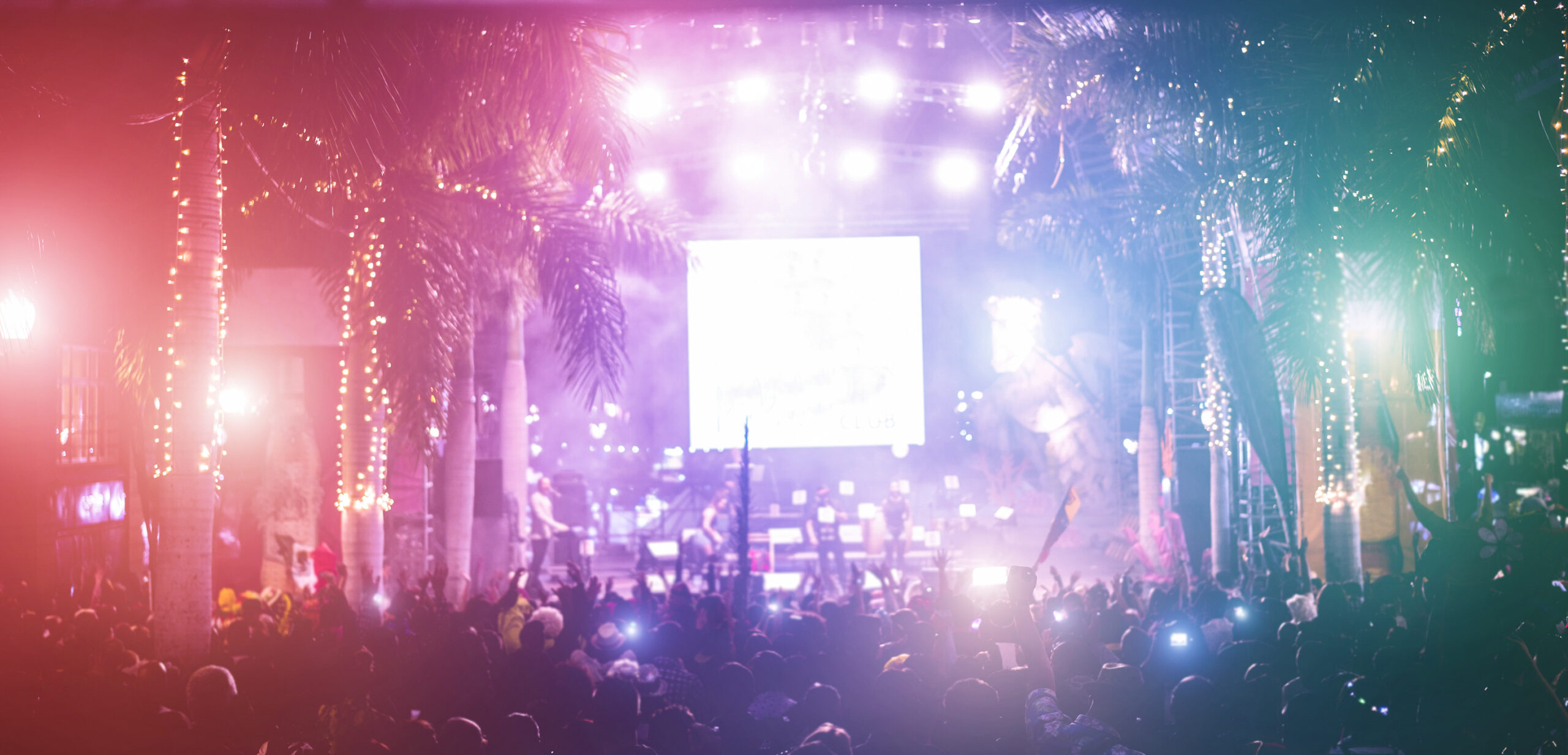 A packed outdoor crowd under palm trees at night in Los Angeles