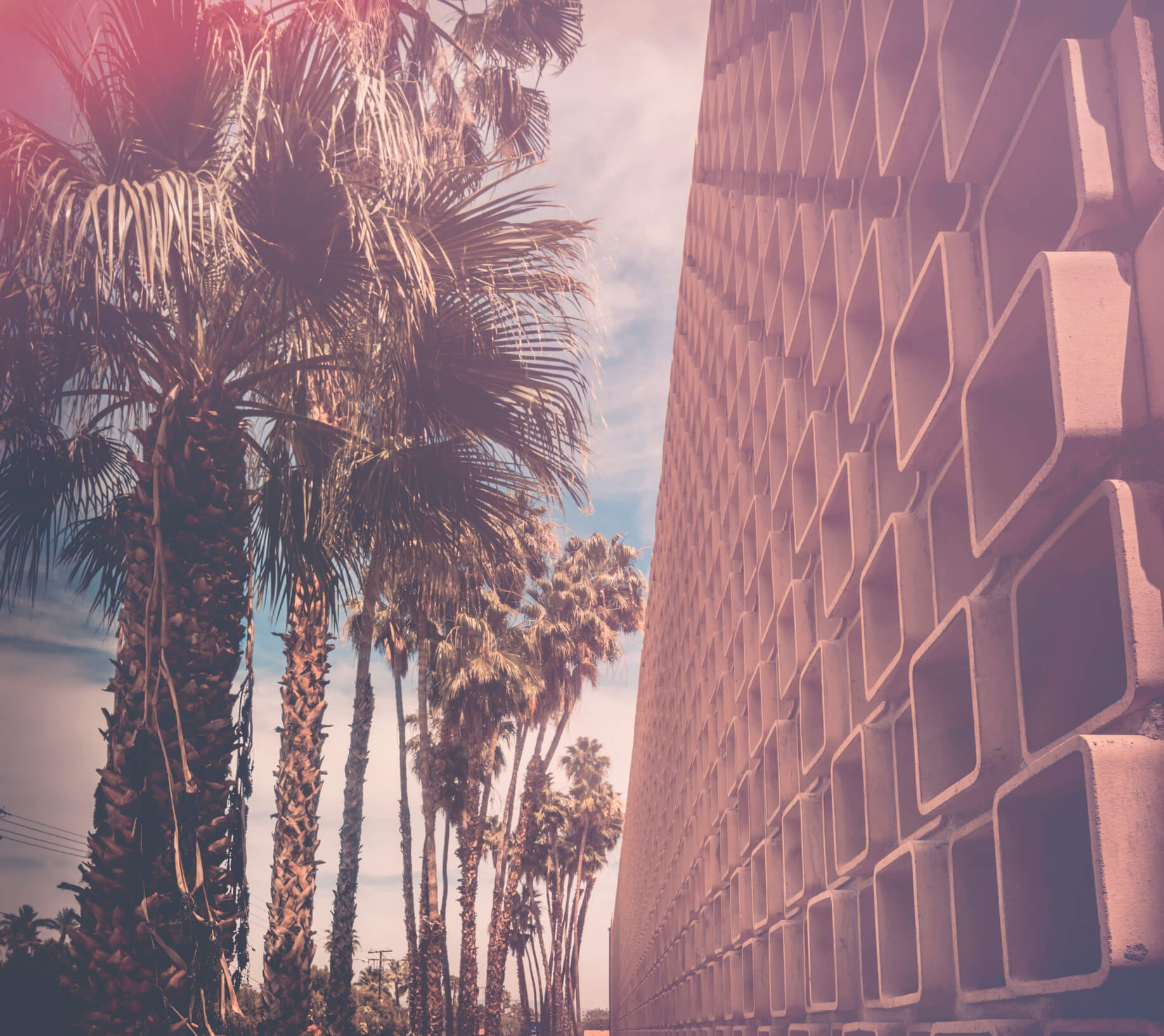 The downtown Los Angeles skyline behind rows of palm trees at golden-hour sunset
